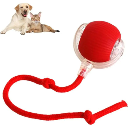 Smart Automatic Rolling Pet Ball