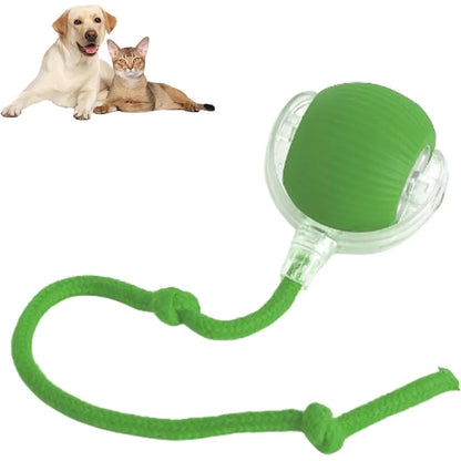 Smart Automatic Rolling Pet Ball