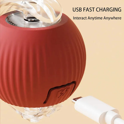 Smart Automatic Rolling Pet Ball
