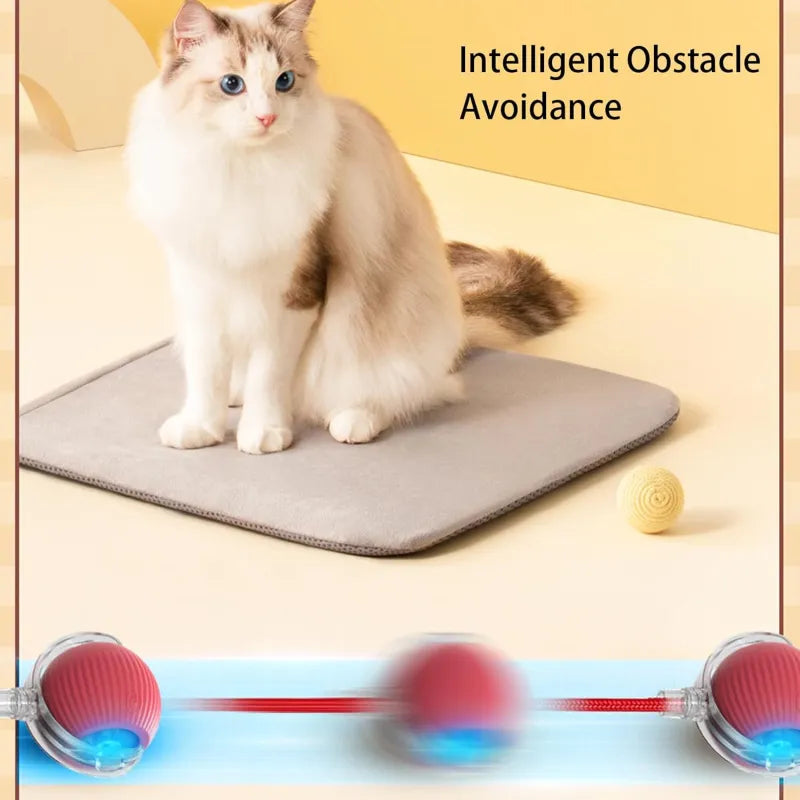 Smart Automatic Rolling Pet Ball