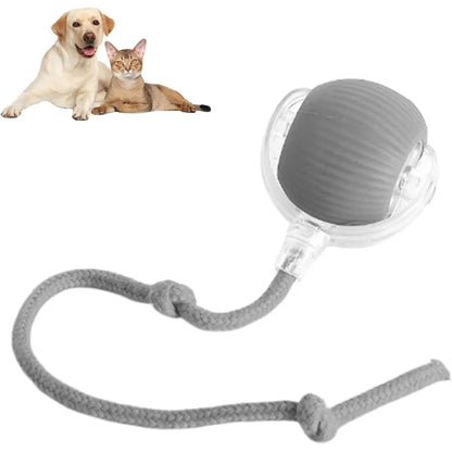 Smart Automatic Rolling Pet Ball