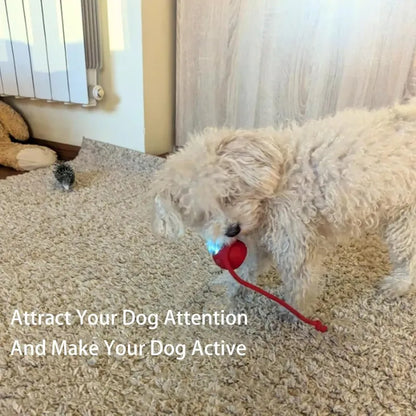 Smart Automatic Rolling Pet Ball