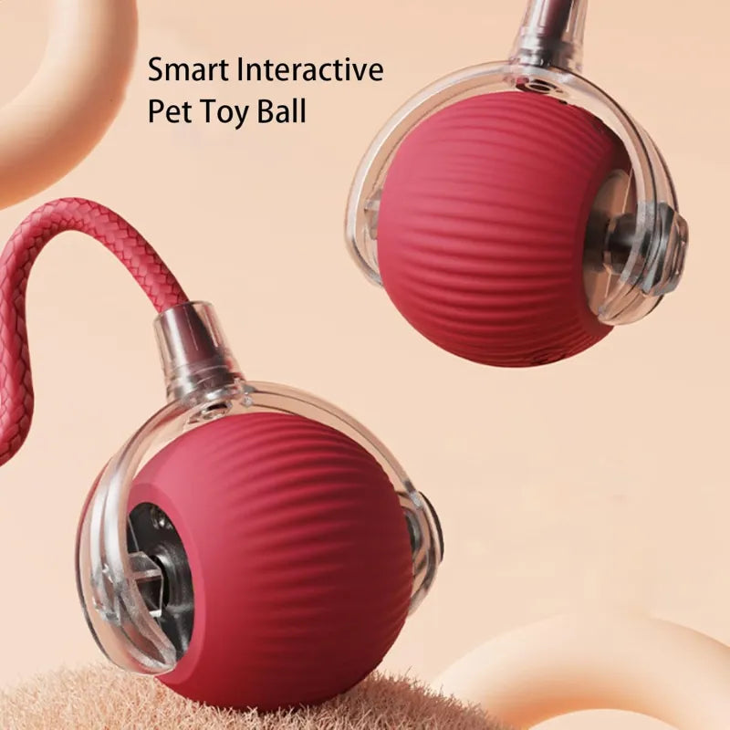 Smart Automatic Rolling Pet Ball