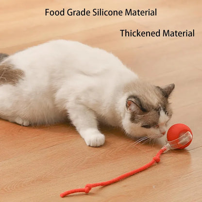 Smart Automatic Rolling Pet Ball